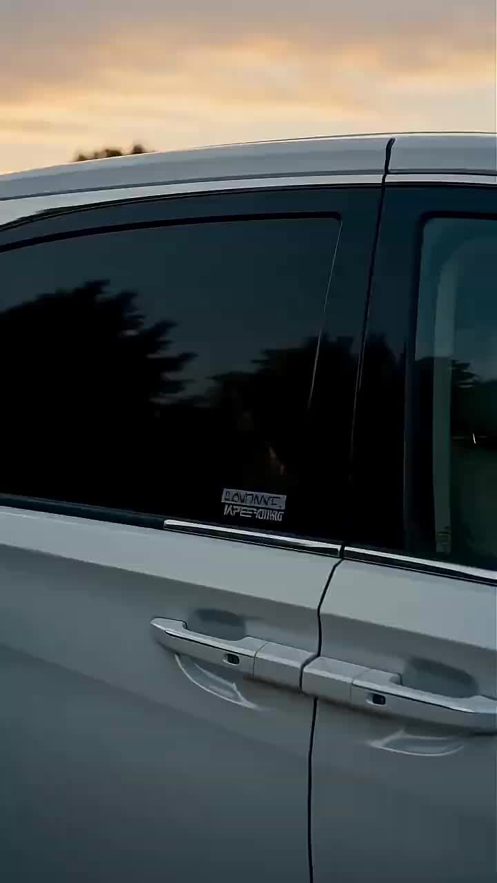 The Dog Gets a Seat I Get the Trunk - Episode 8
