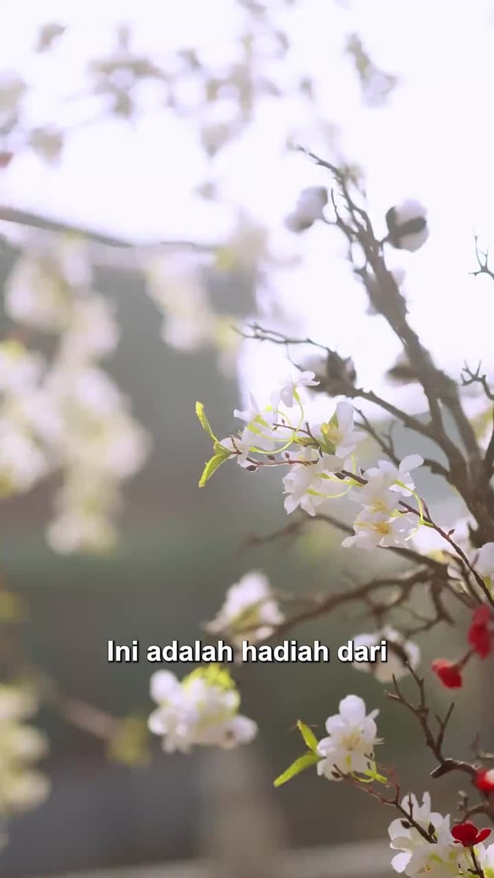 Putri Mahkota Yang Manis - Episode 11