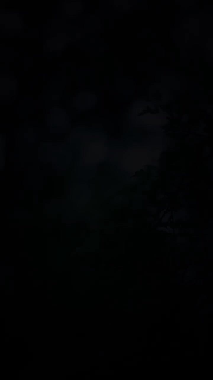 The Alpha King's Wolfless Luna - Episode 1