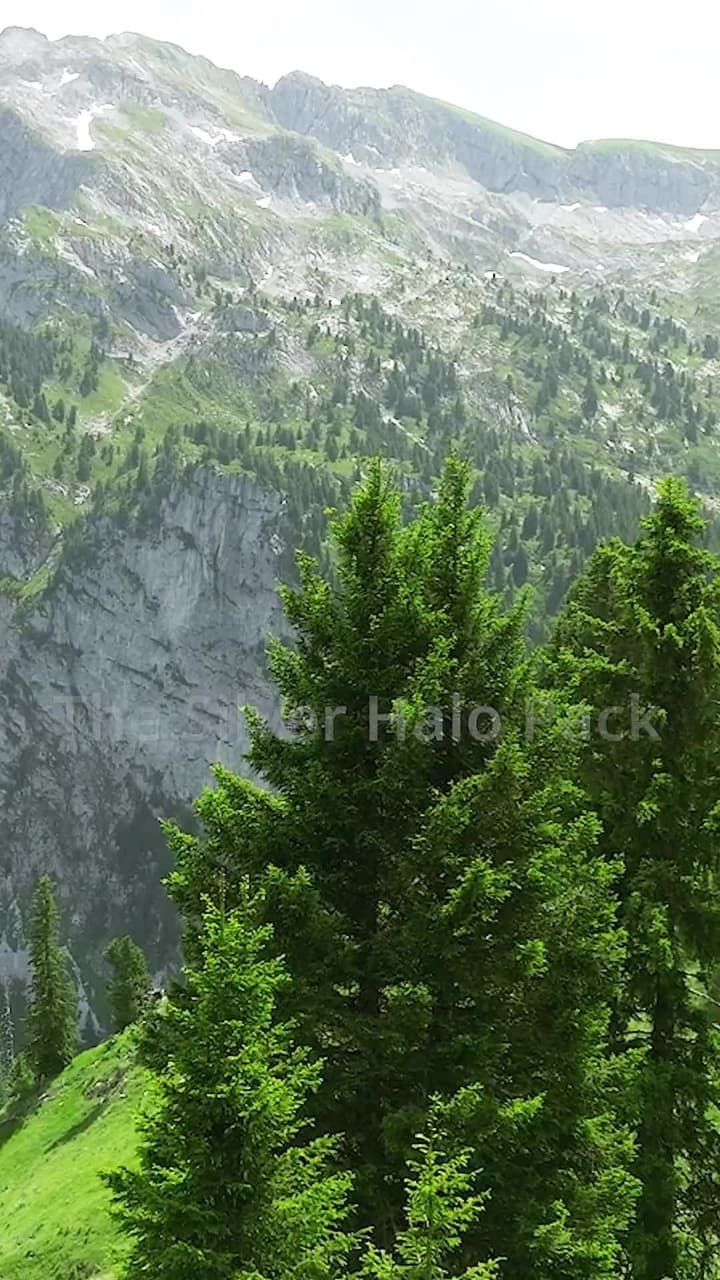 The Alpha King Is My Second Mate - Episode 1