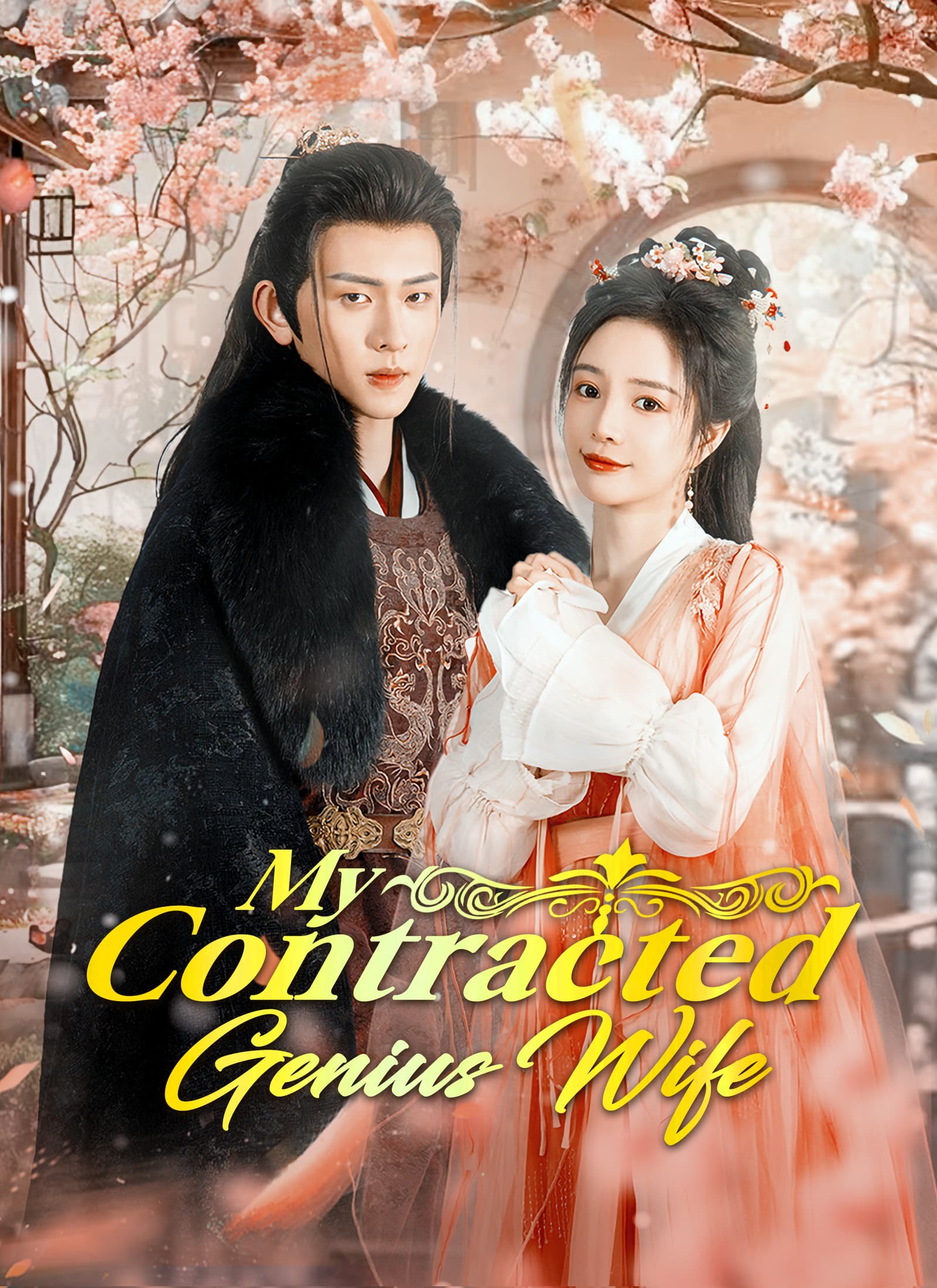 My Contracted Genius Wife