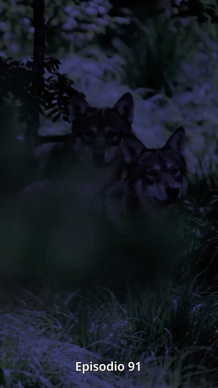 La compagna indesiderata - Episode 91