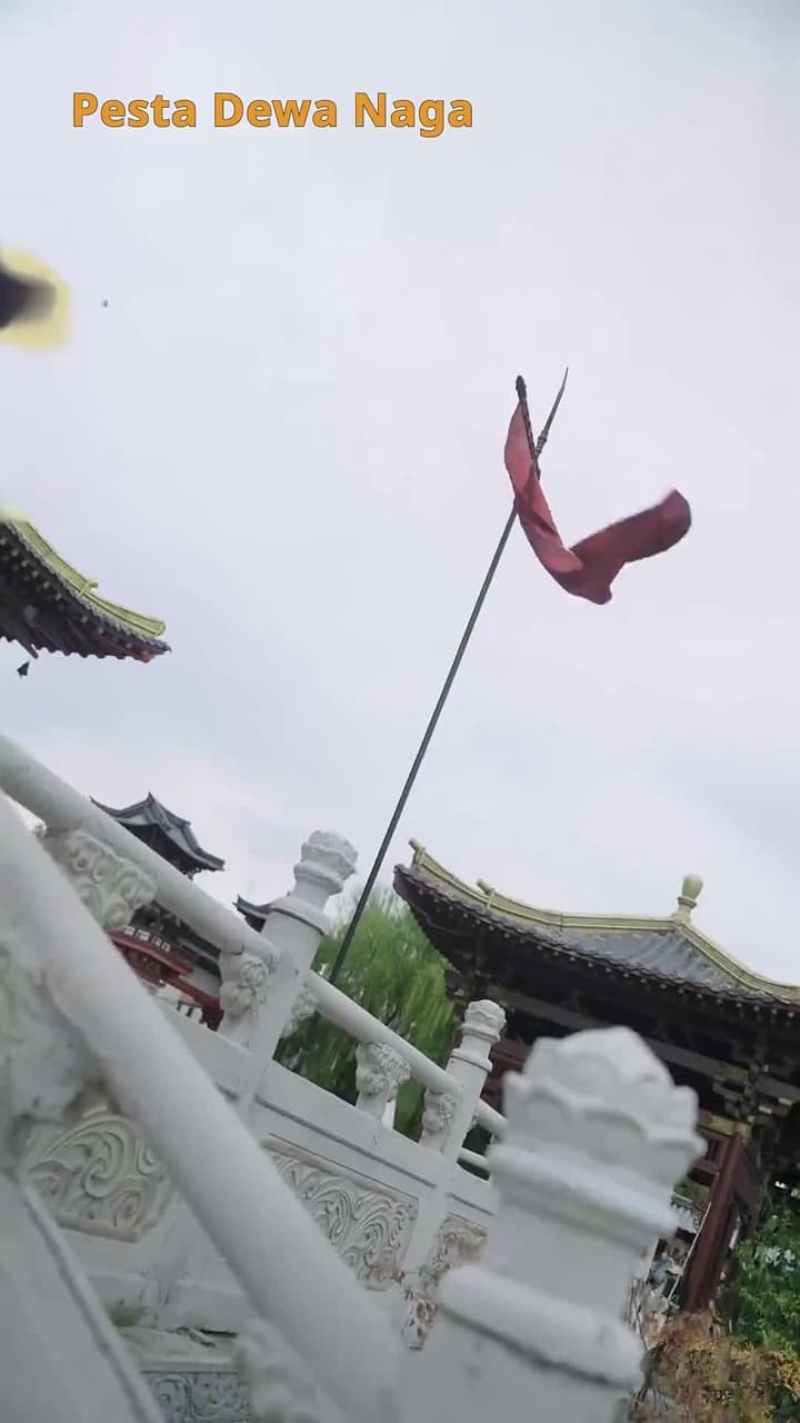 Menantu Dewa Naga - Episode 48
