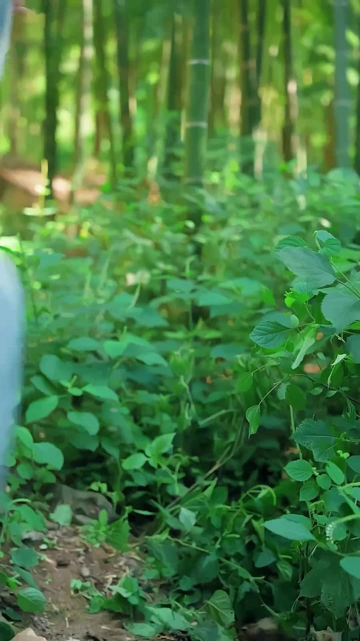 Takdir Anak Langit - Episode 30