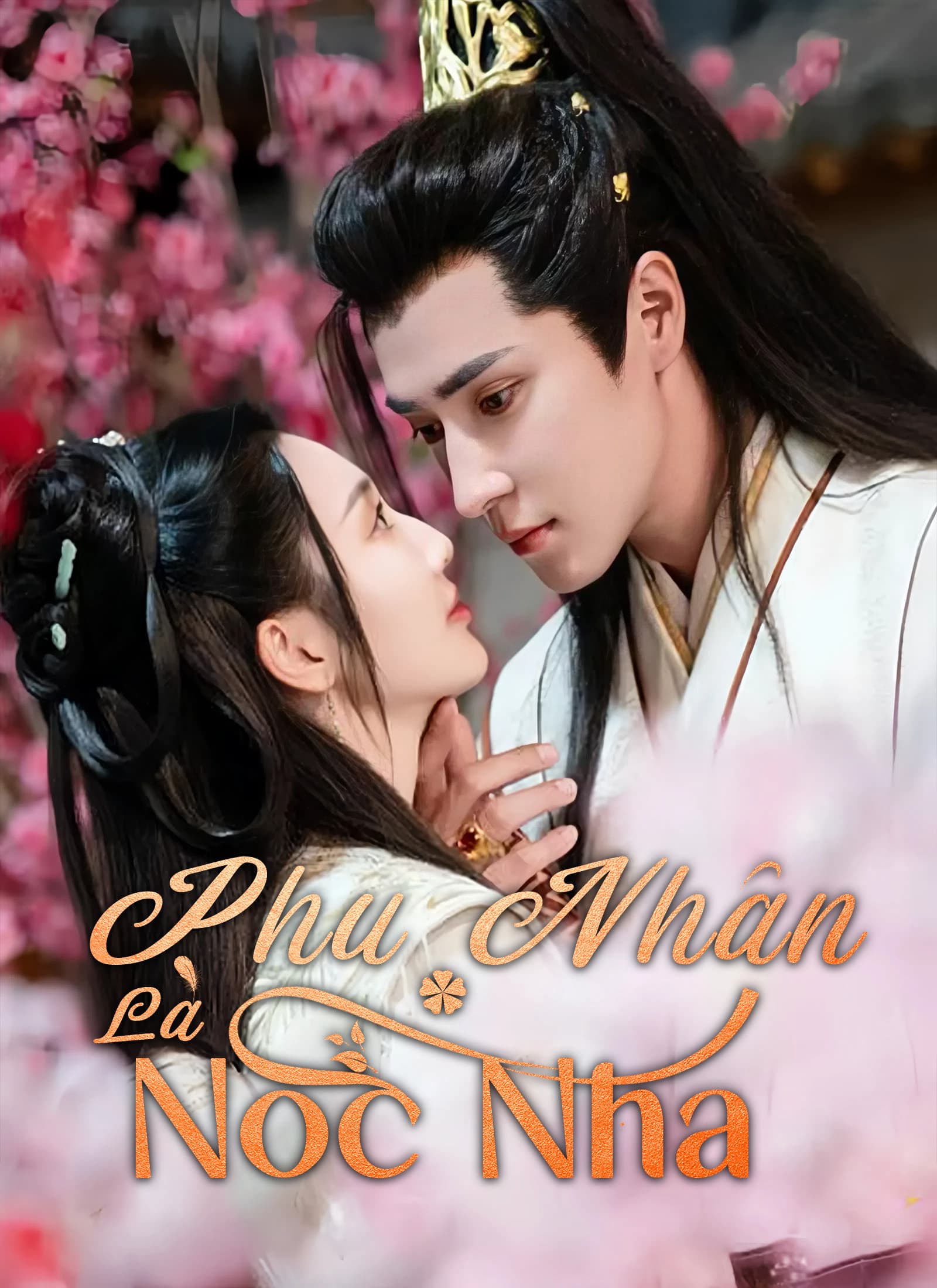 Phu Nhân Là Nóc Nhà