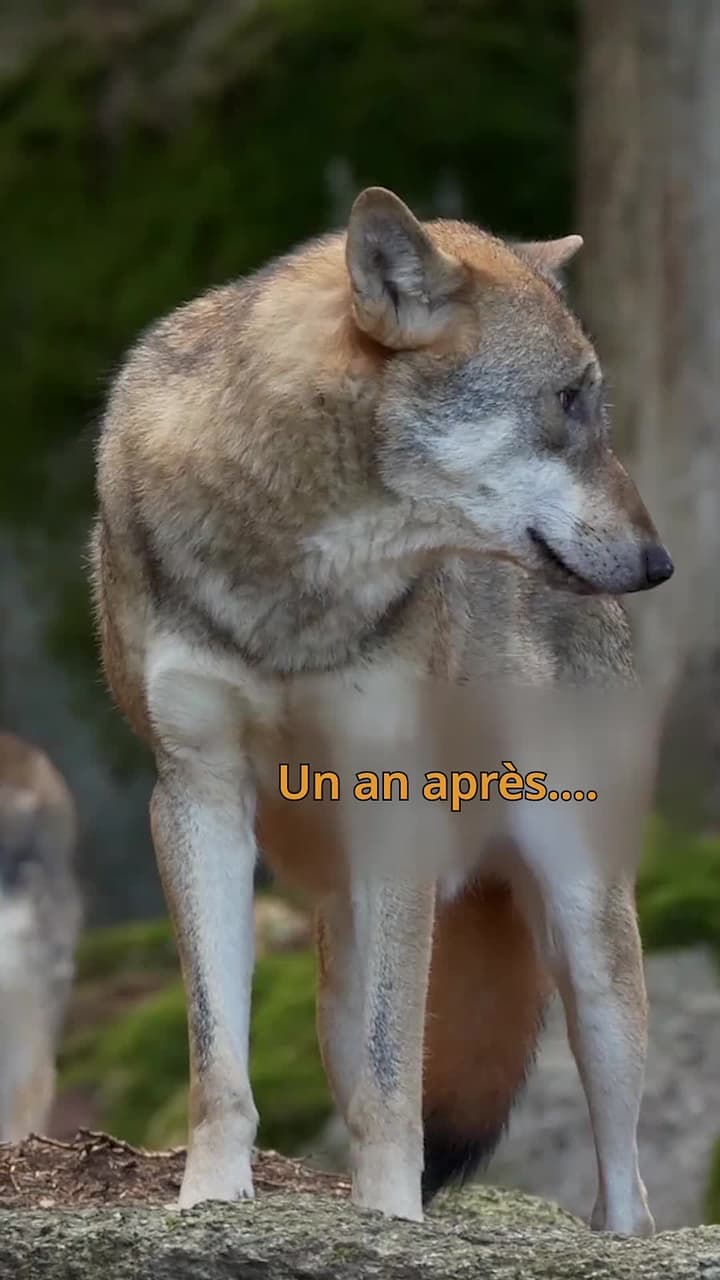 Alpha, garde vos distances! - Episode 3