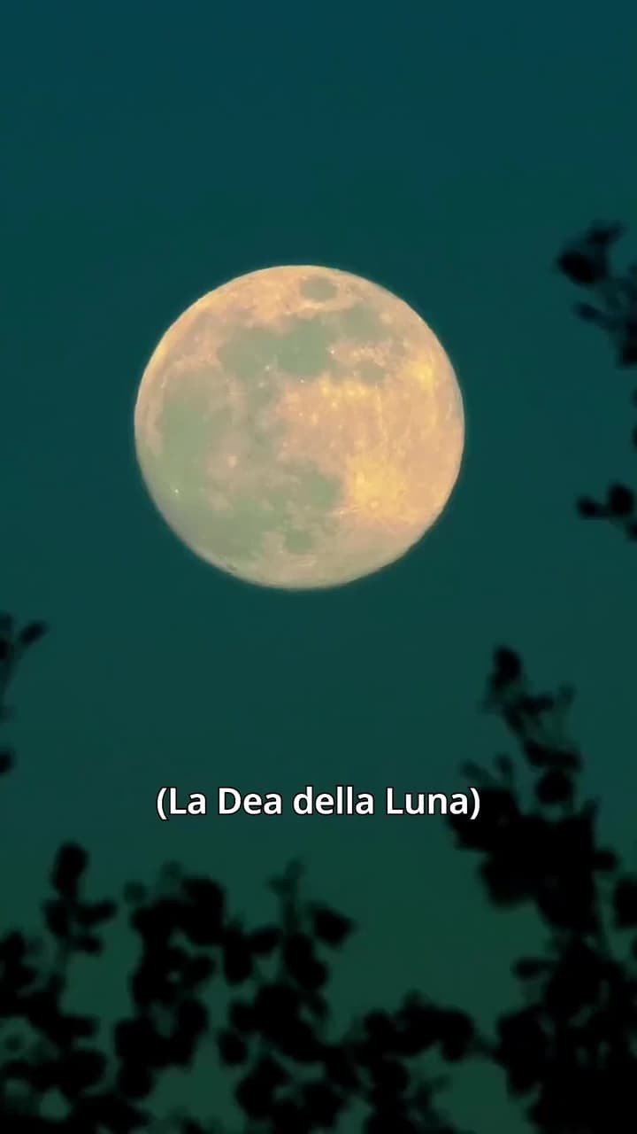 Custodito Dal Mio Fratello Alfa - Episode 70