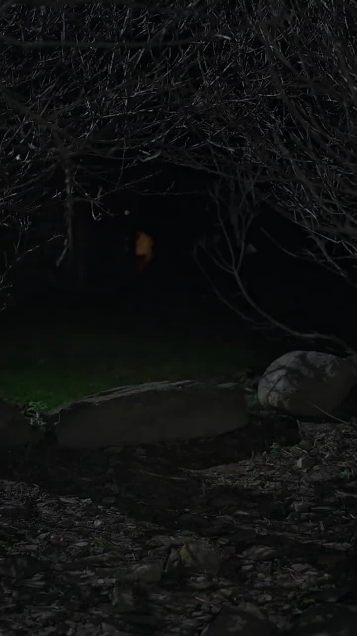 Unida ao Rei Alfa - Episode 49