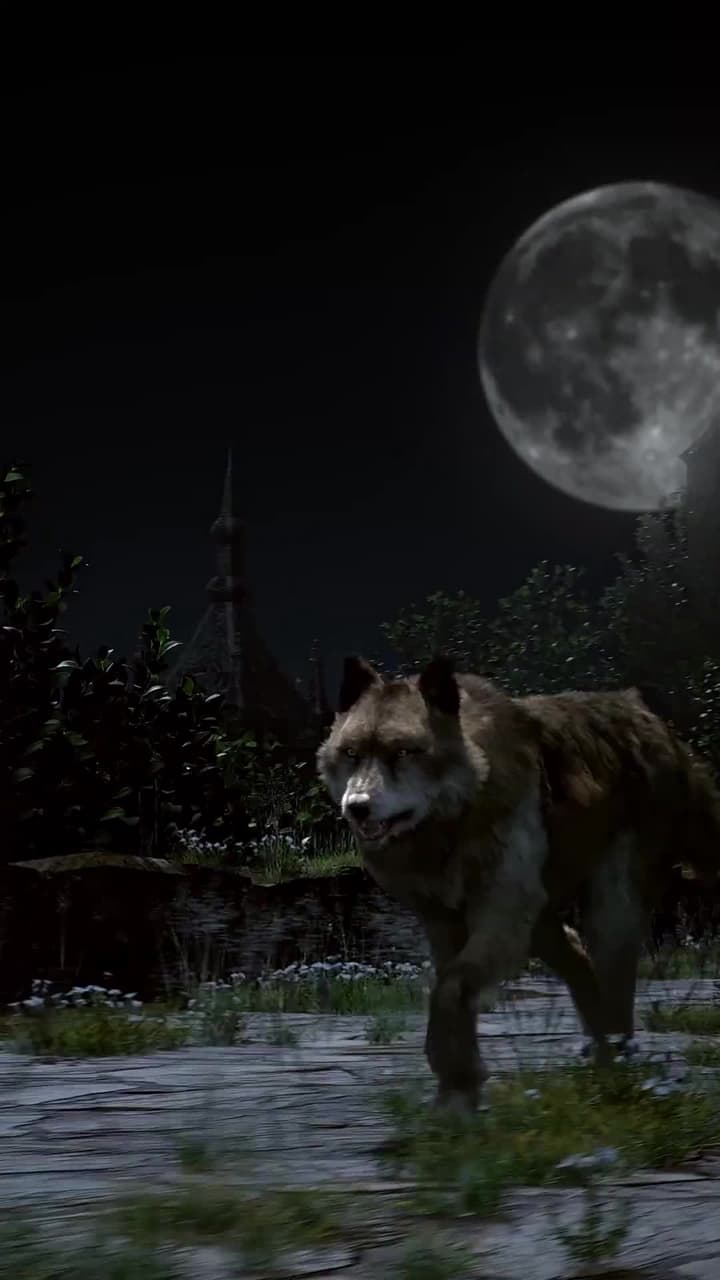 Il destino vuole che sia te - Episode 1