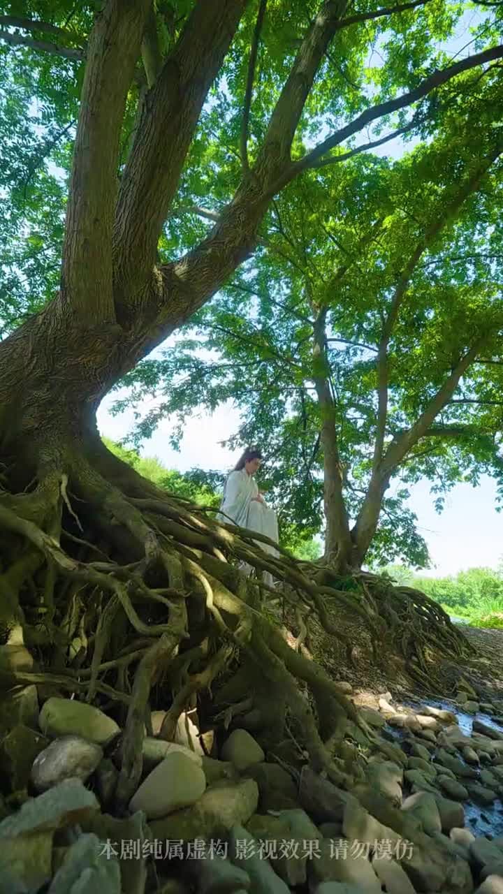 誅天大主宰 - Episode 5