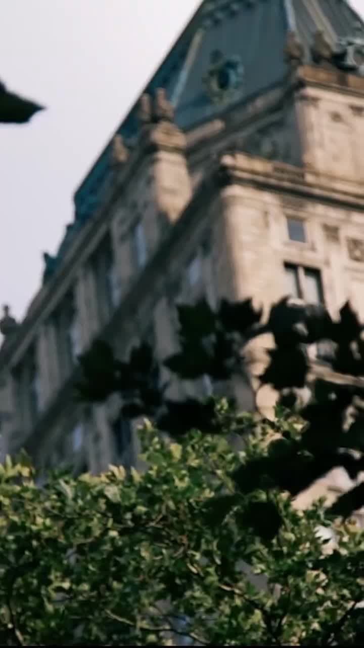 Fausse ou véritable compagne de l'Alpha - Episode 4