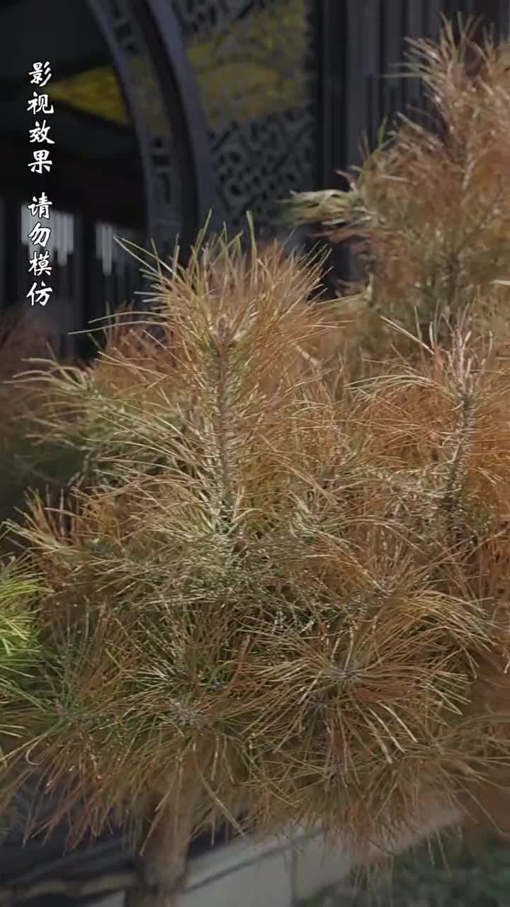 至誠之道 - Episode 14