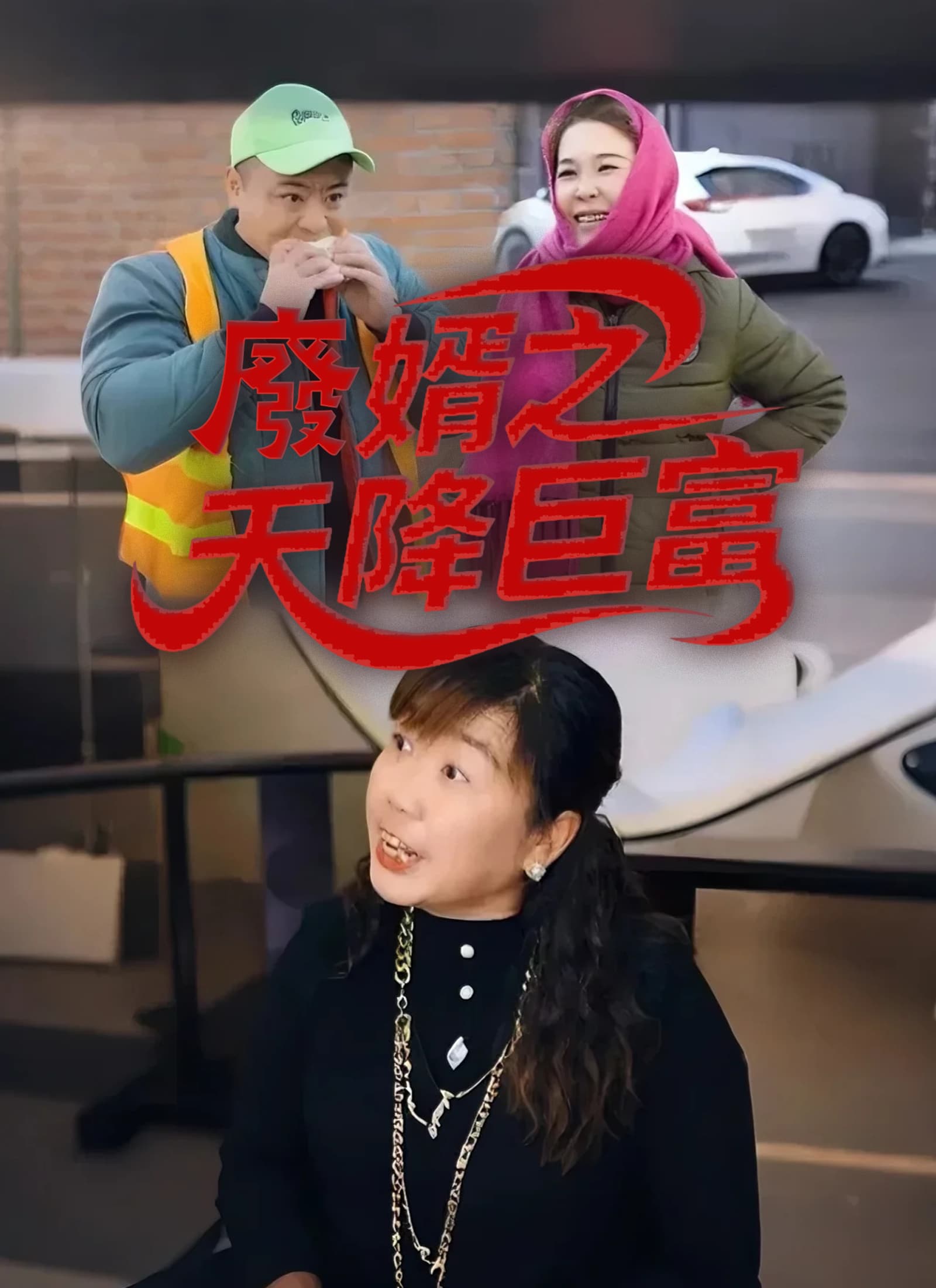 廢婿之天降巨富