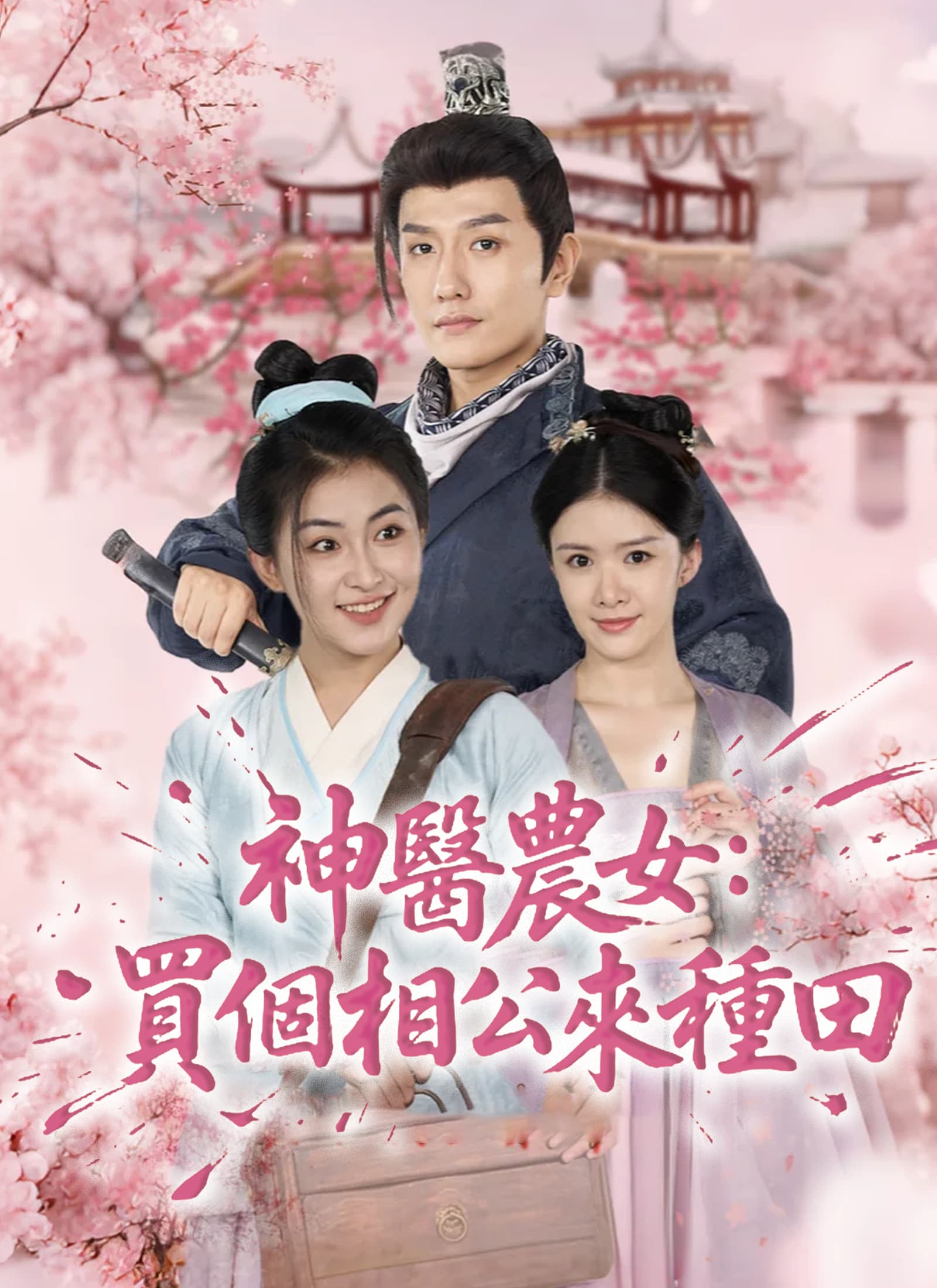 神醫農女:買個相公來種田
