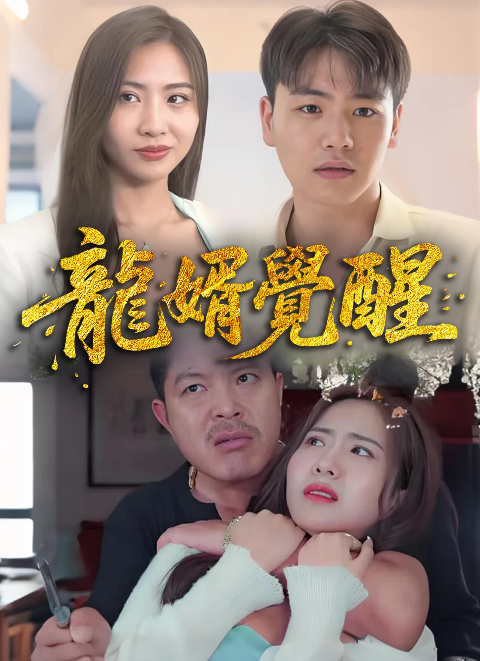 龍婿覺醒