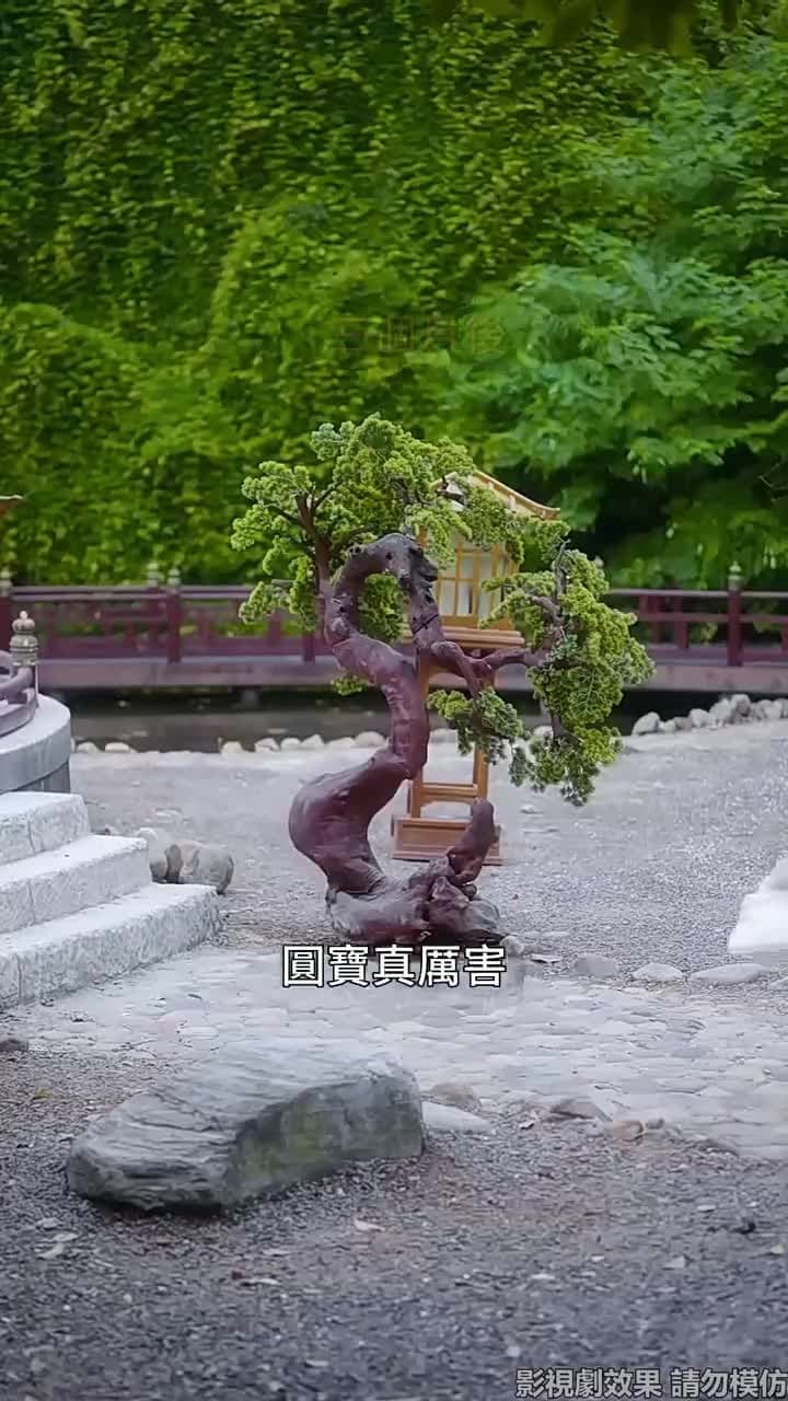 不負春和景寧 - Episode 81