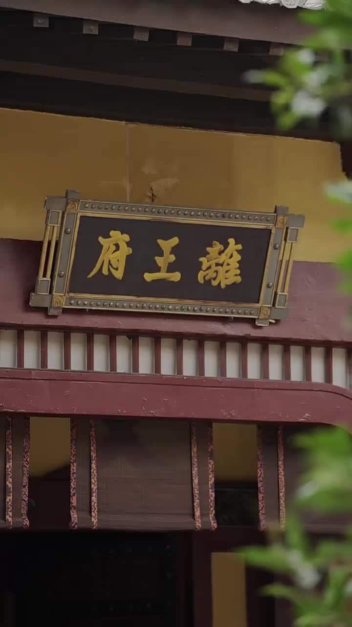神醫娘親:父王今日認錯了麽 - Episode 9