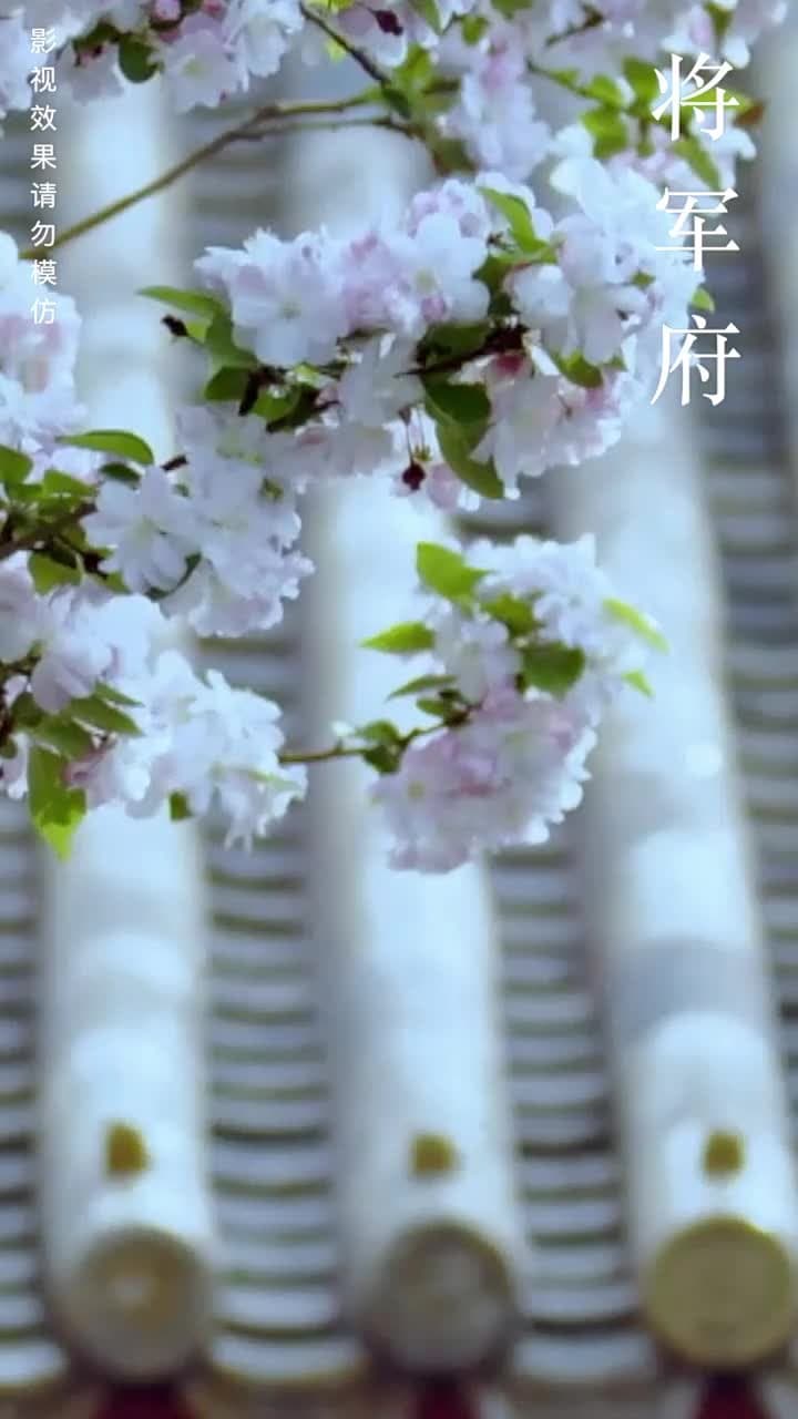 風禾盡起 - Episode 4