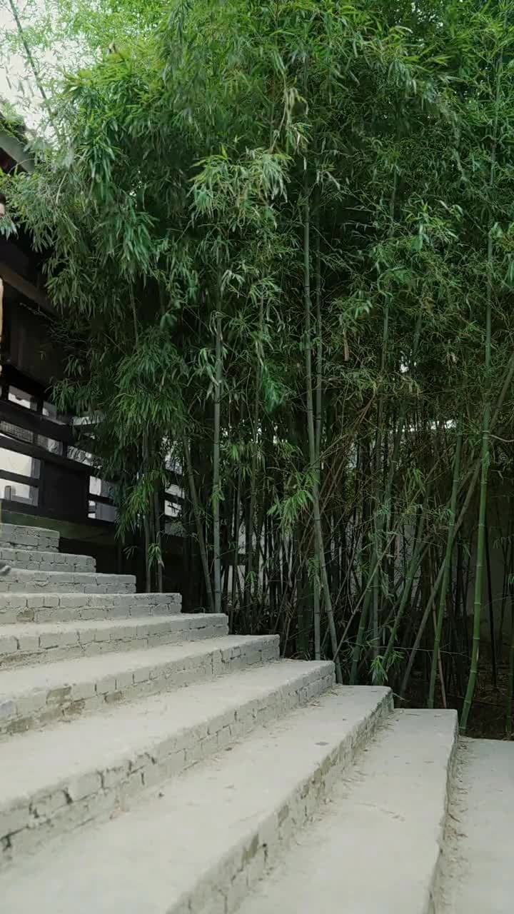 殘王寵妃 - Episode 76