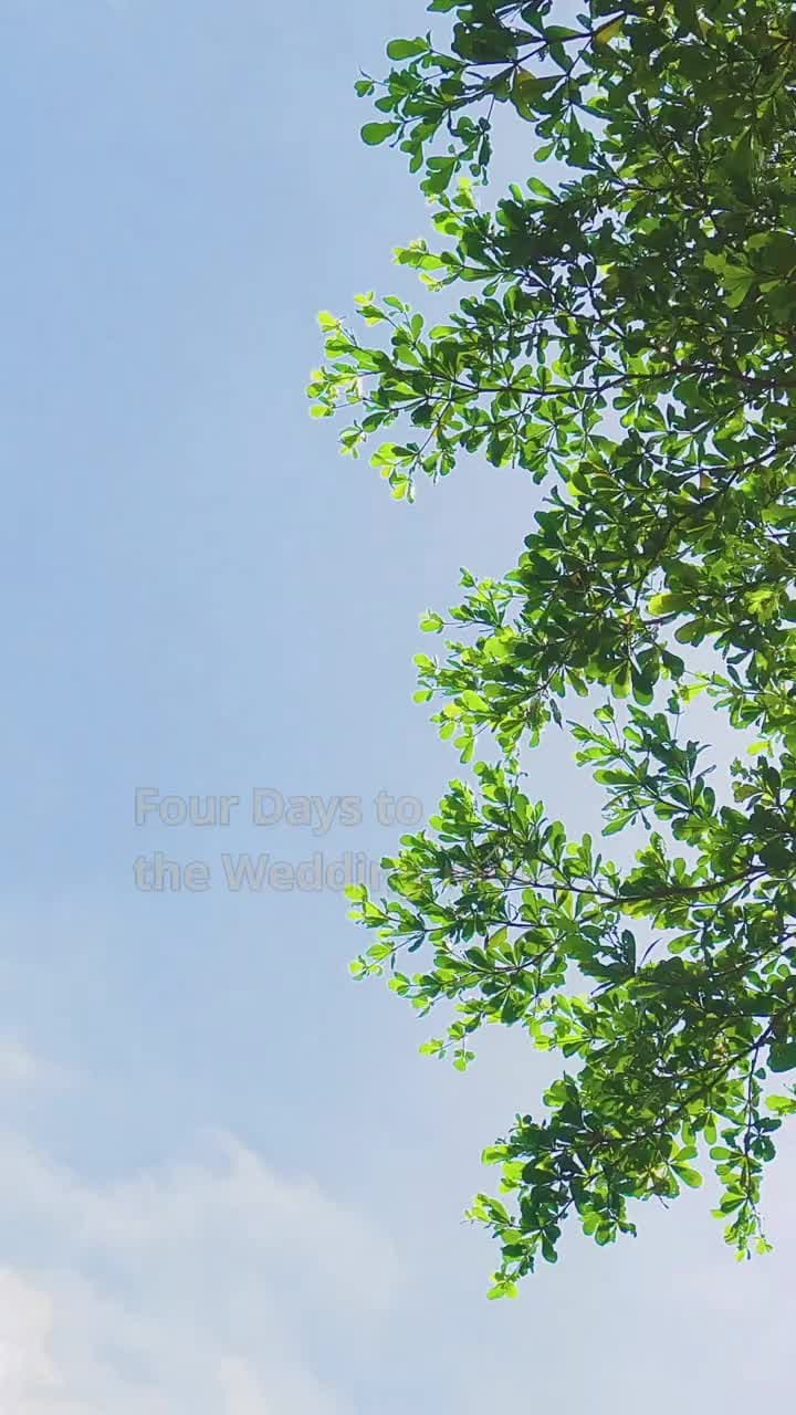 Moonlight on the Palace Road - Episode 8