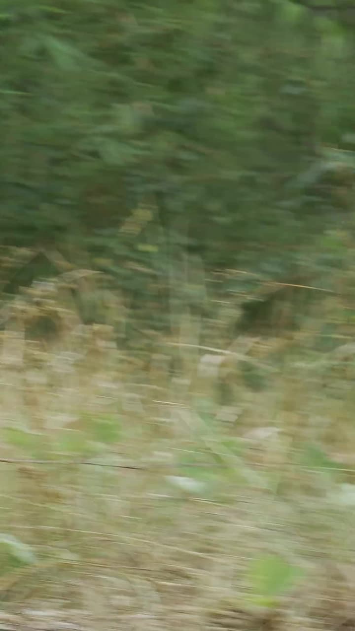 我和美女上司的荒島生涯 - Episode 30