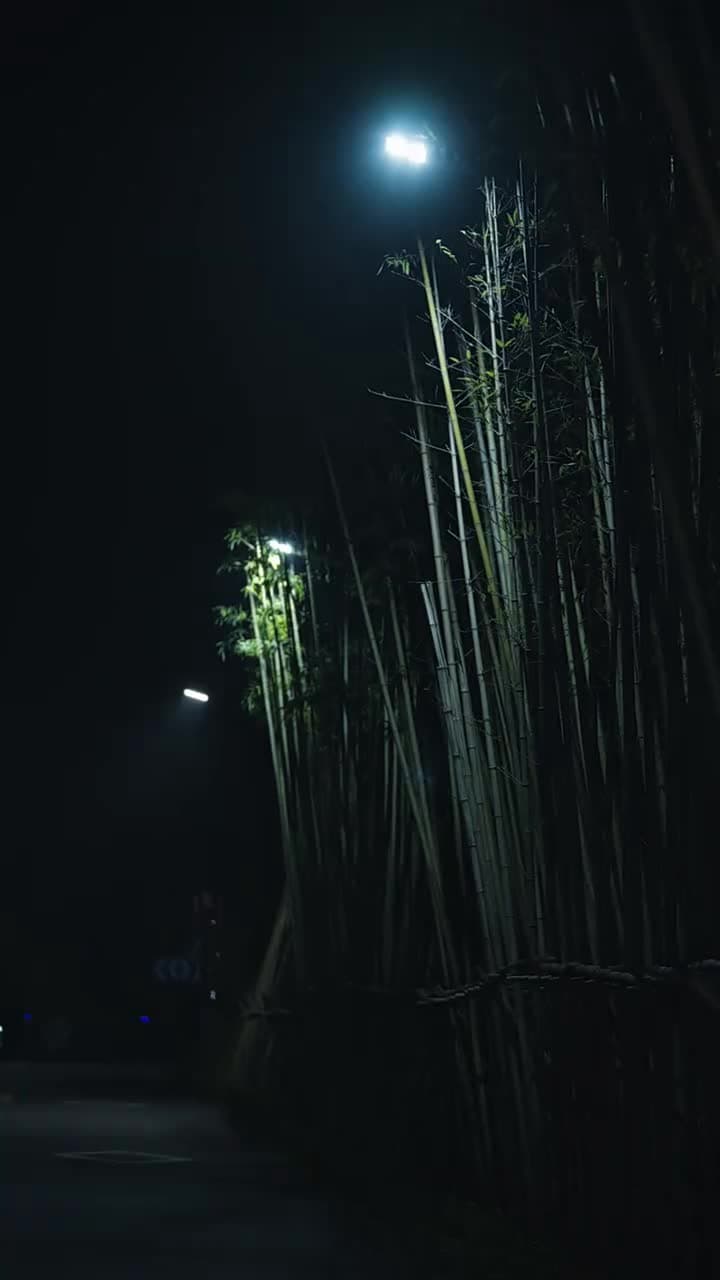 未來預言家 - Episode 39
