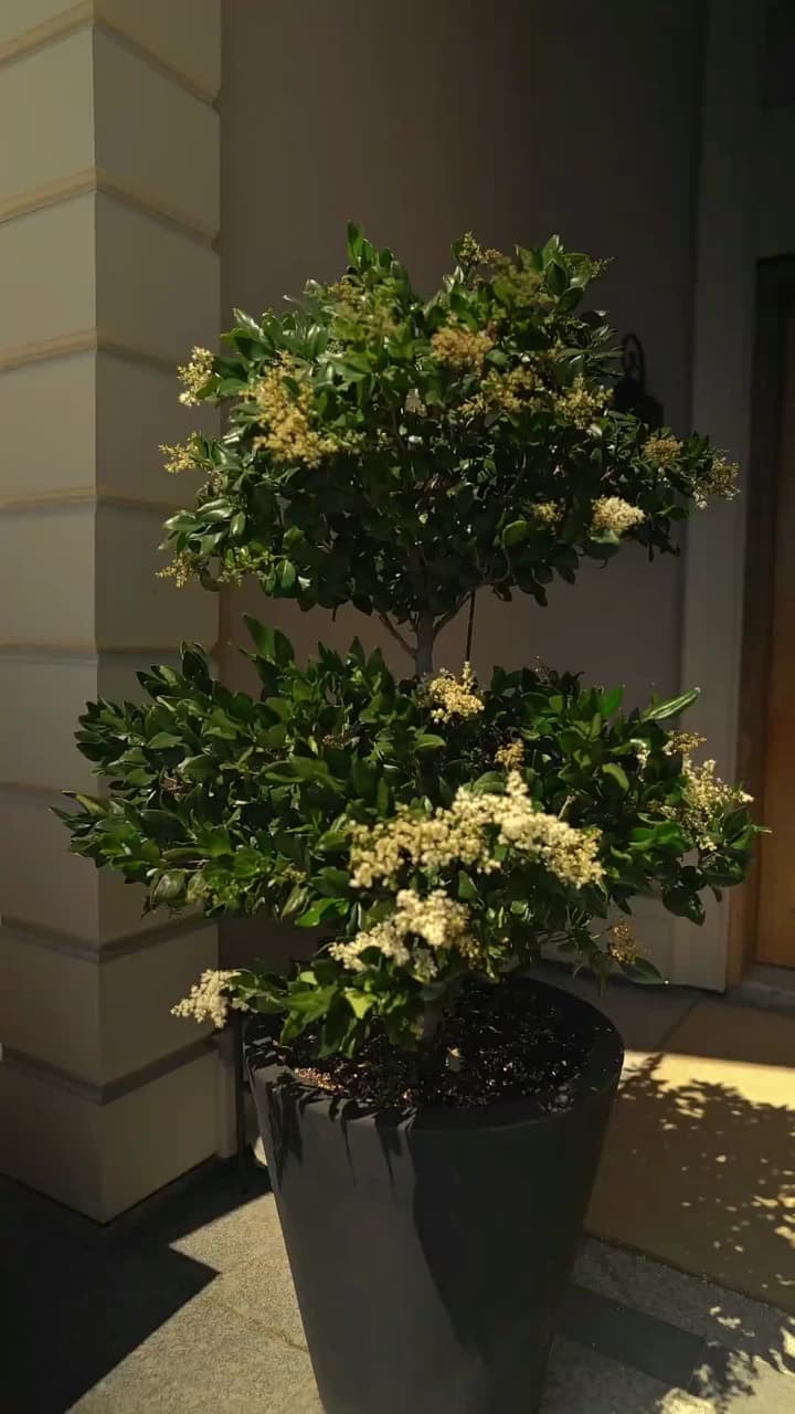 Nossos Pequenos Segredos Sujos - Episode 36