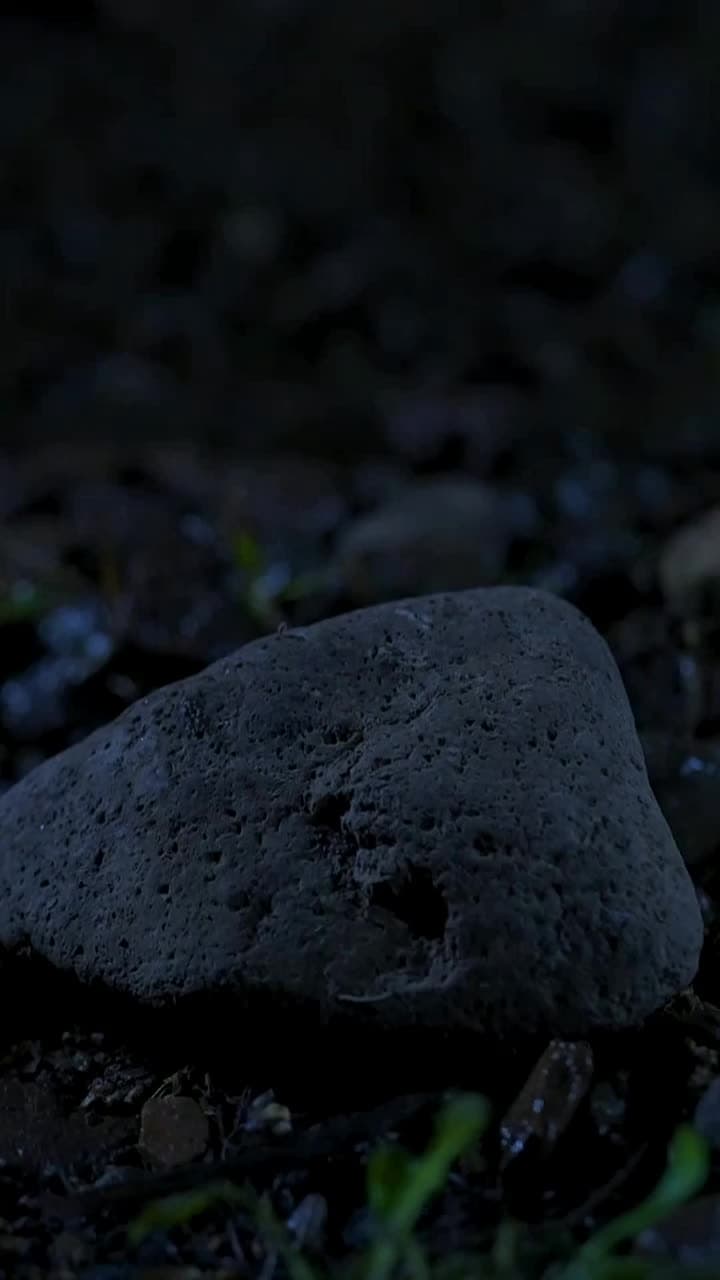 Campesino Salvaje - Episode 1