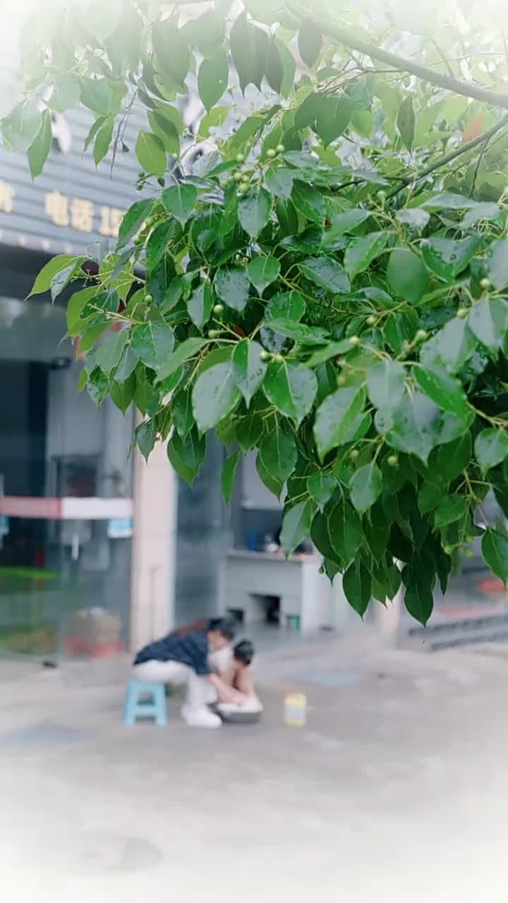 天降萌寶小救星 - Episode 57