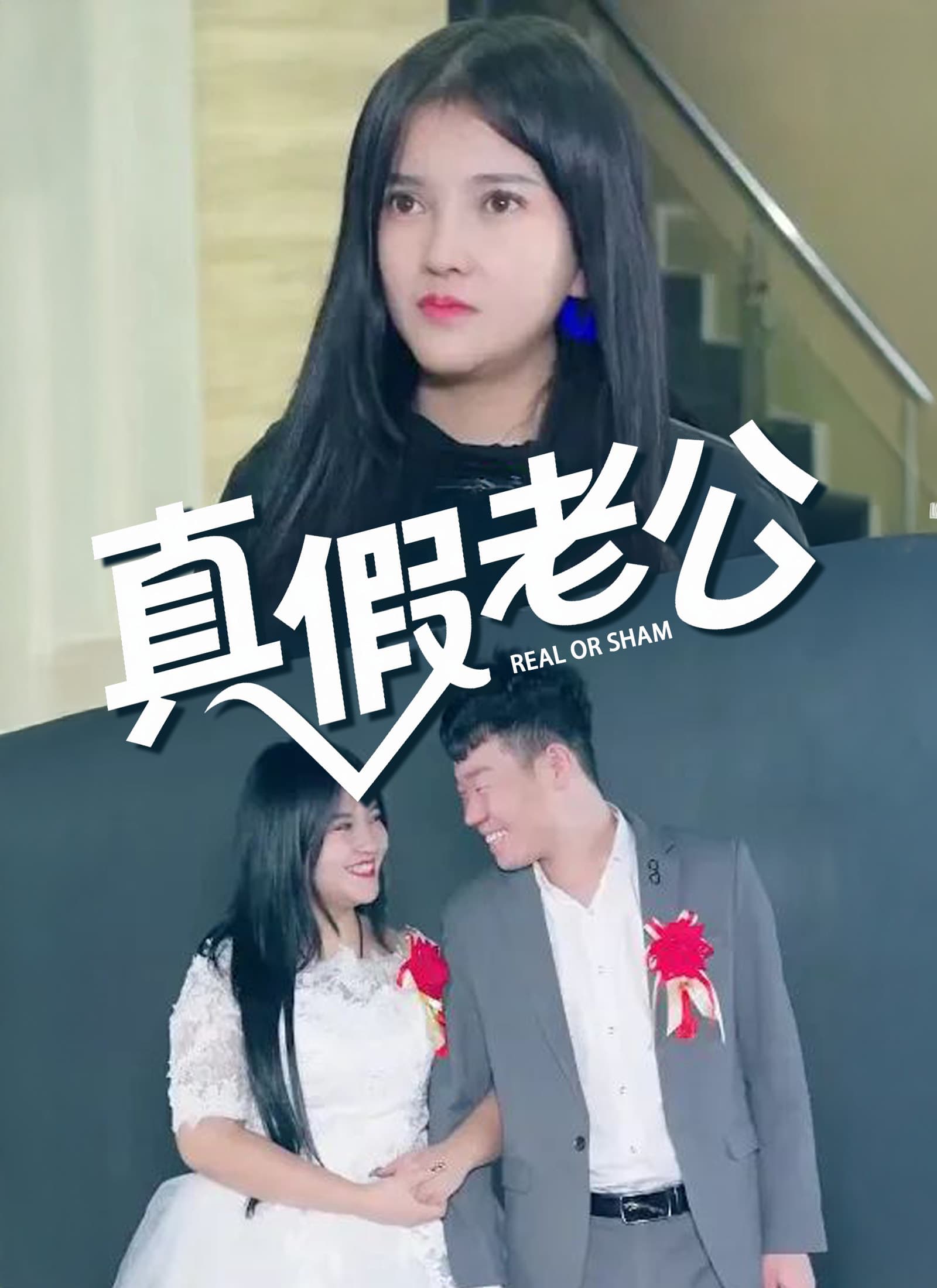 真假老公