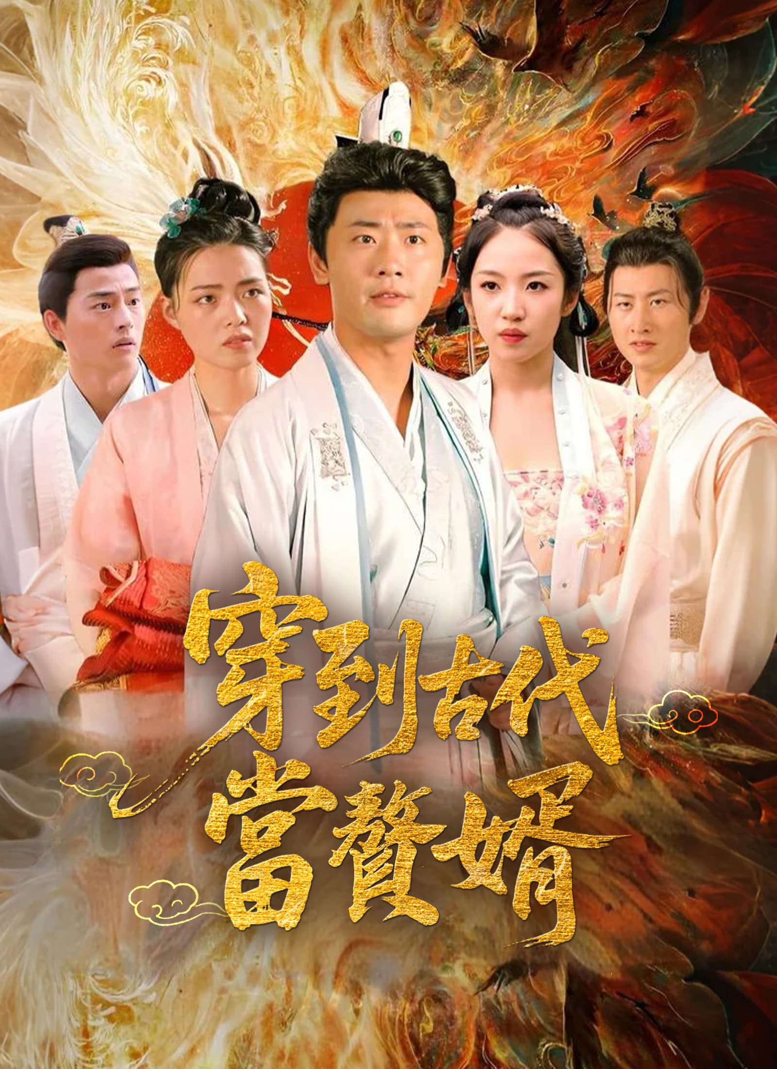 穿到古代當贅婿