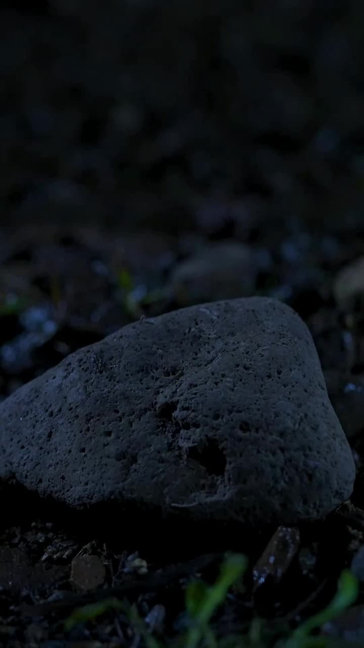 Segredos de Belém - Episode 1
