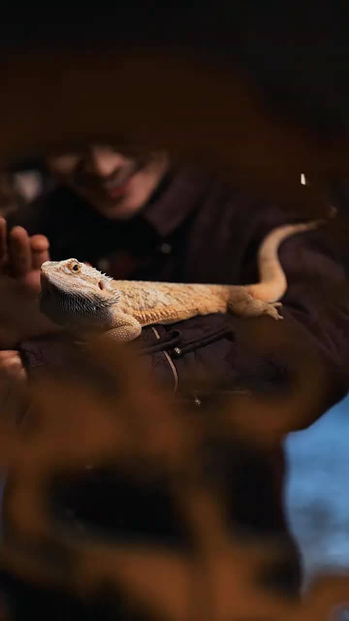 Legenda KungFu Kembar - Episode 5