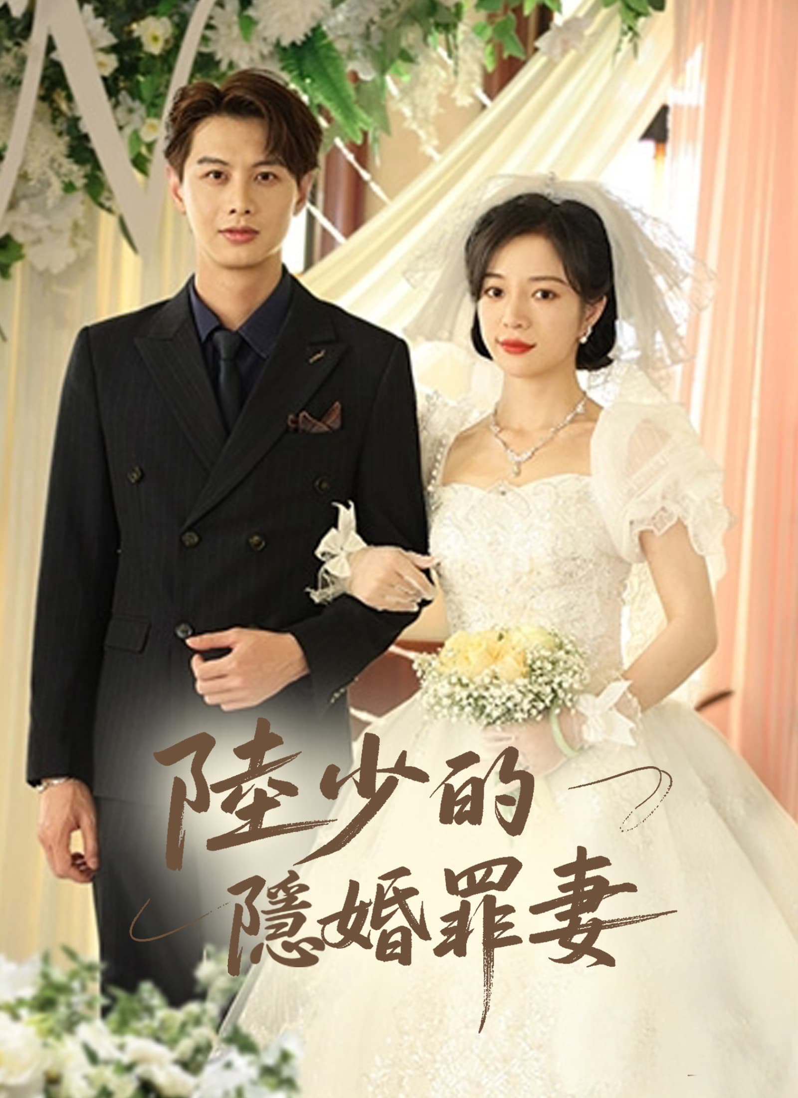 陸少的隱婚罪妻