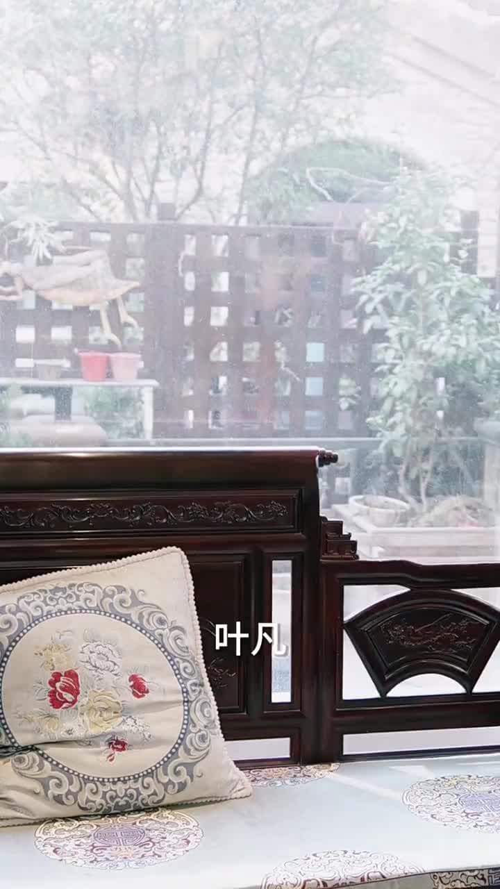 我的24歲美女總裁老婆 - Episode 95