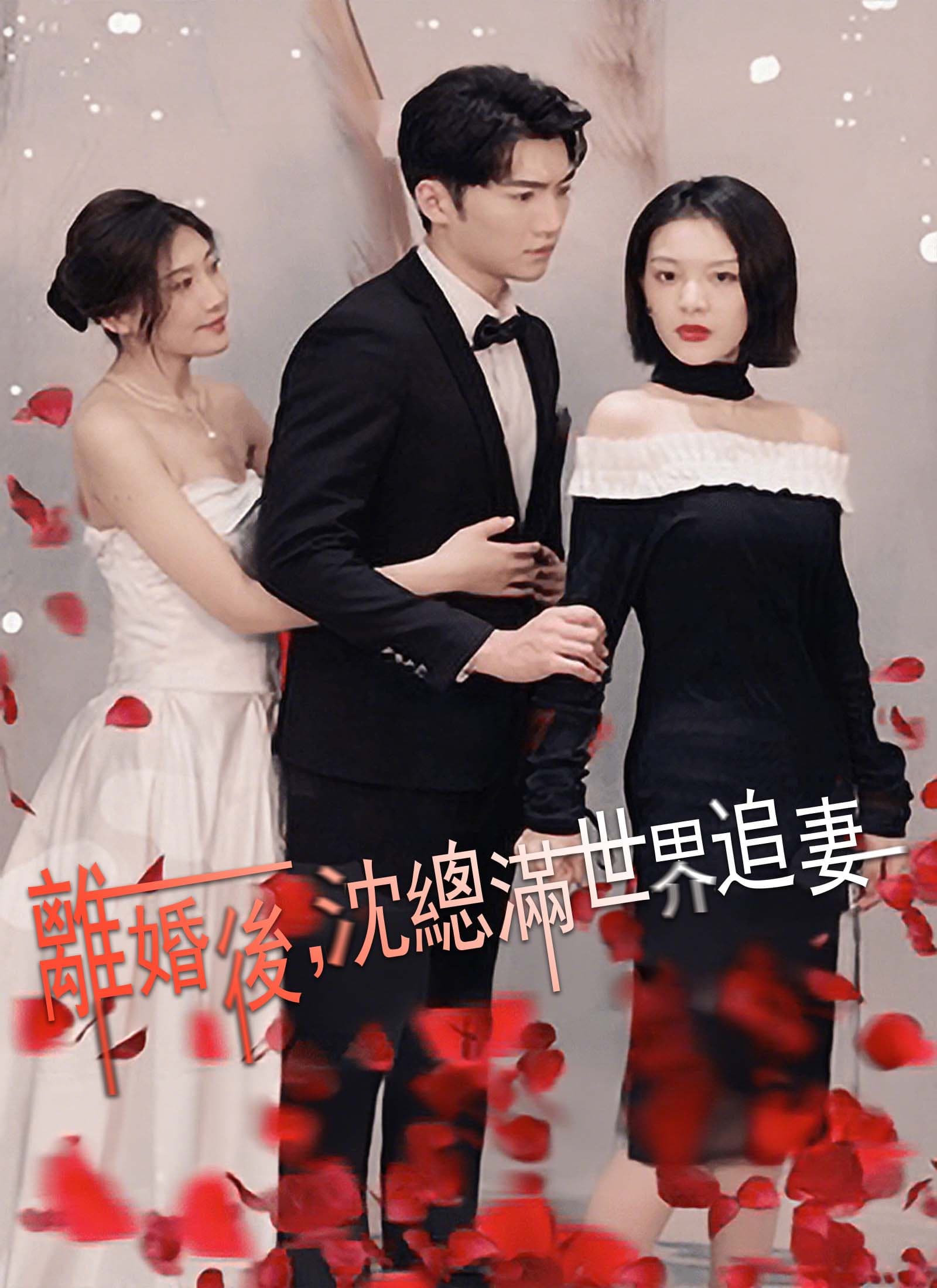 離婚後,沈總滿世界追妻