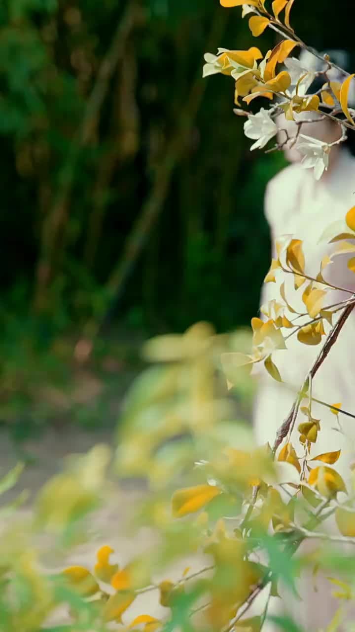 Vinh Quang Của Chiêu Chiêu - Episode 60