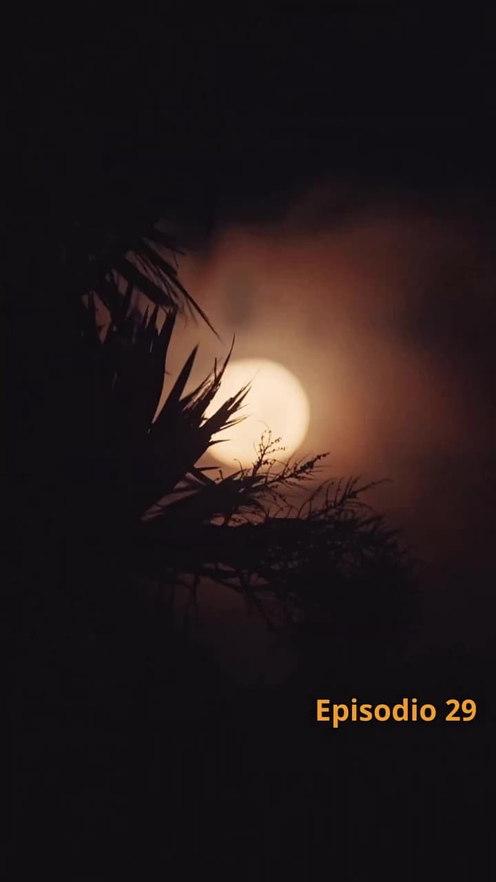 [Doppiato]Legami di Luna e Sangue - Episode 29