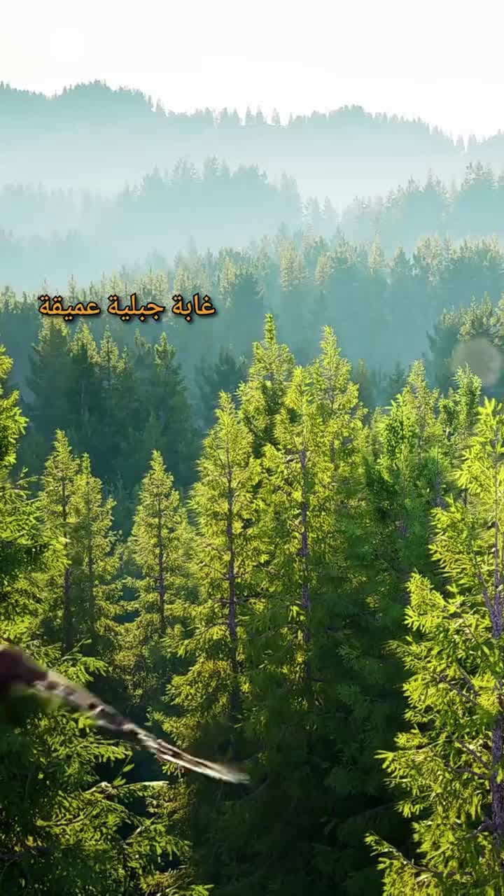 أبـي التنين الخفي يهزّ أركان الكون - Episode 1