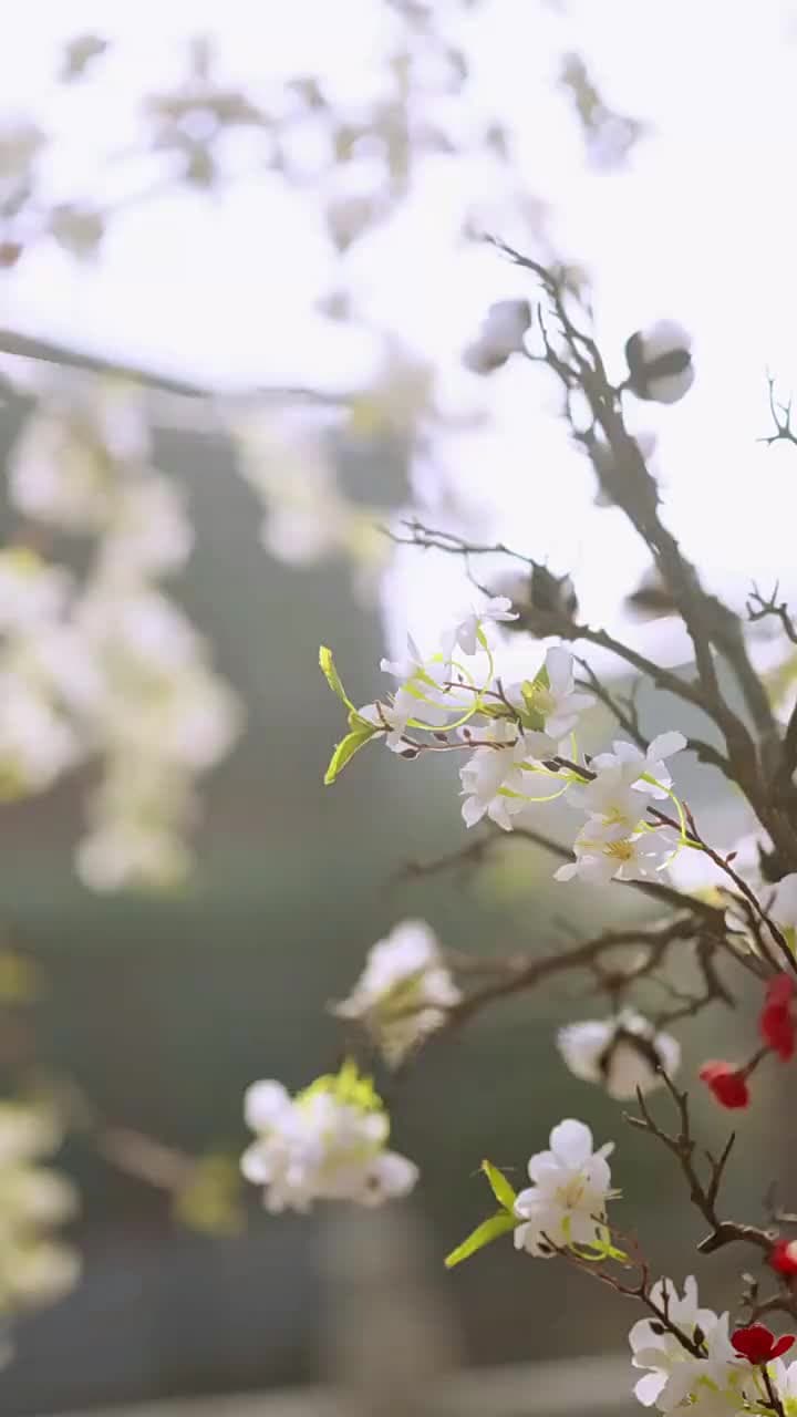 Thái Nữ Điện Hạ - Episode 11