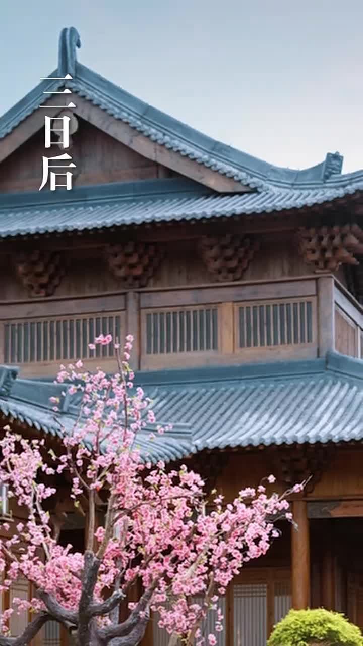 我冷漠我無情我有壹劍攪風雲 - Episode 52