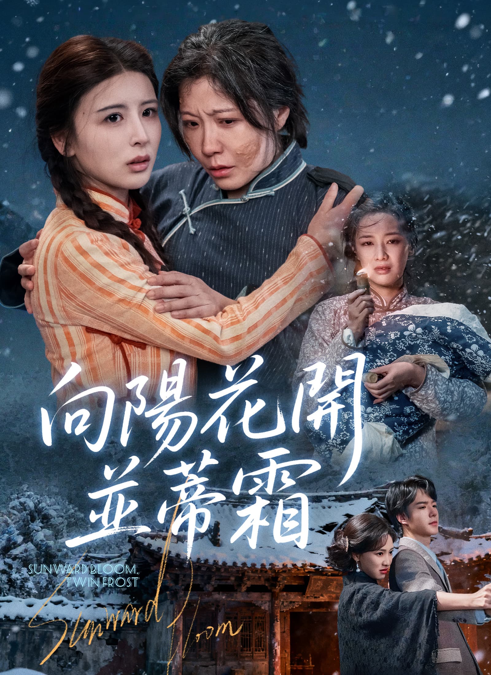 向陽花開並蒂霜