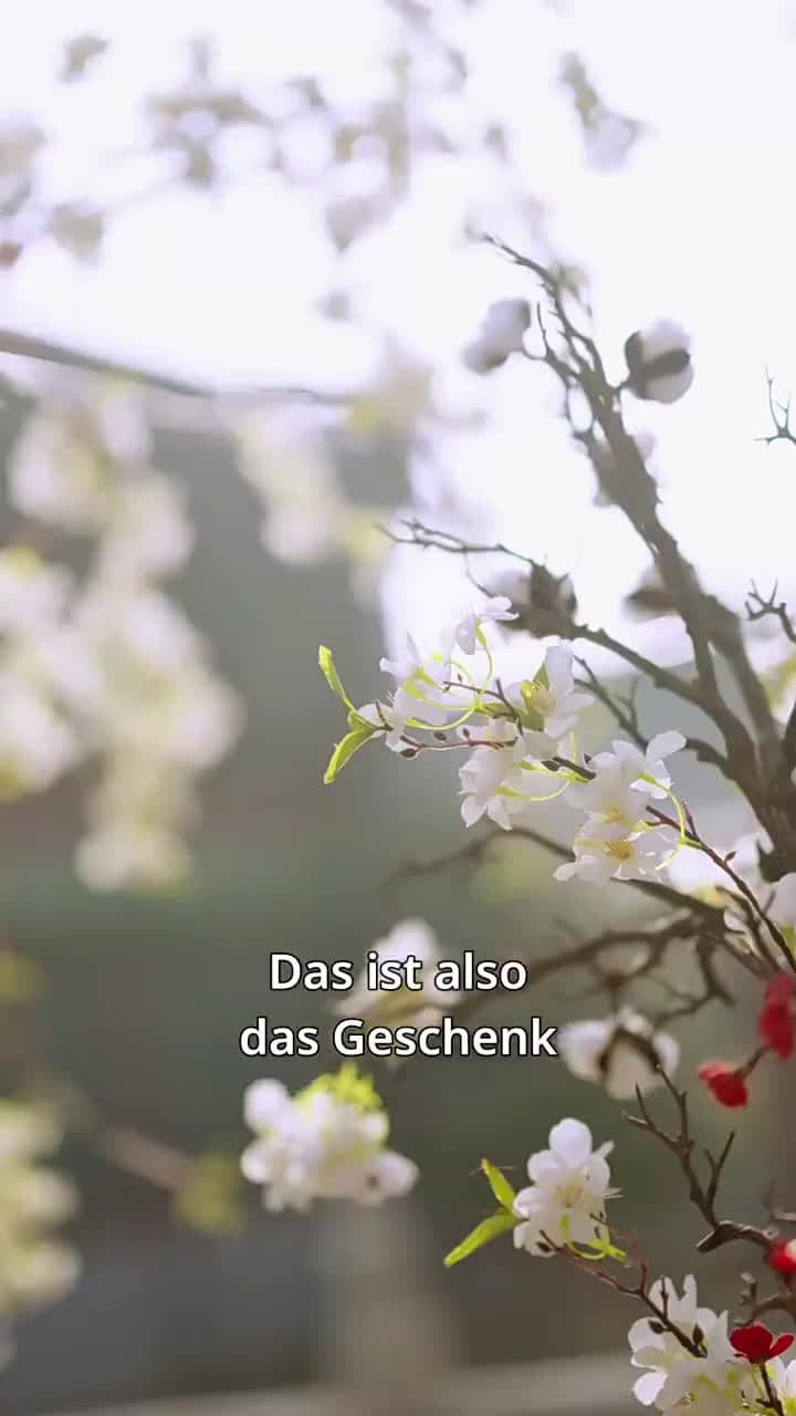 Die wiedergeborene Krone - Episode 11