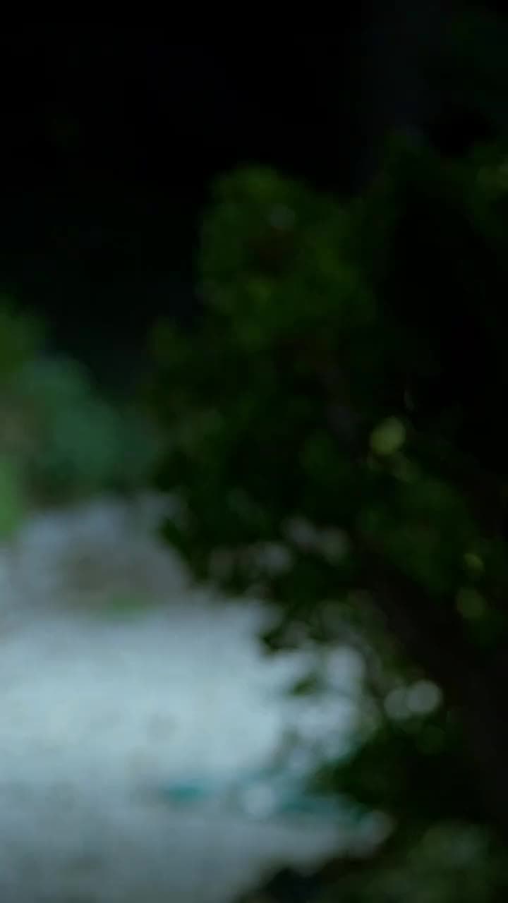 العروس غير المرغوب فيها - Episode 65