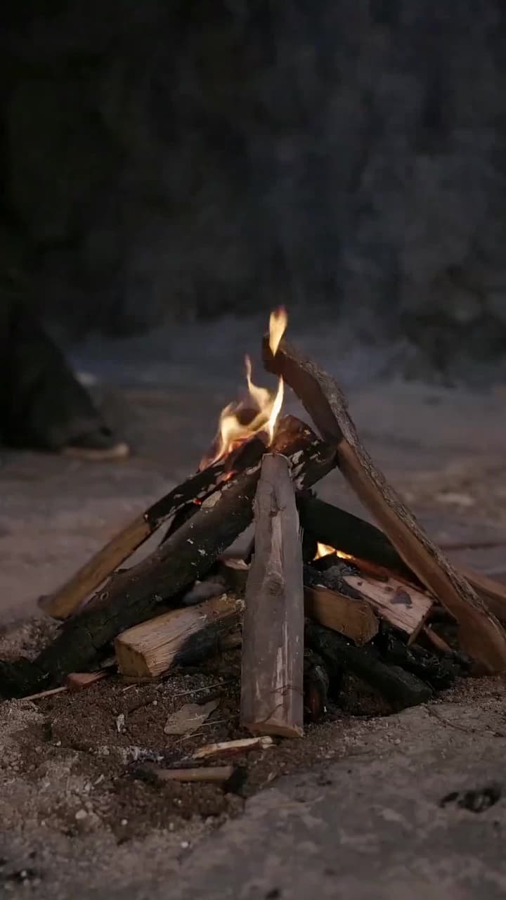 Mộng Cành Vàng - Episode 51
