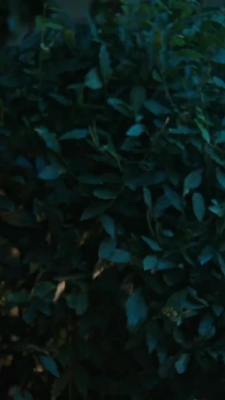 İkinci Hayat - Episode 26