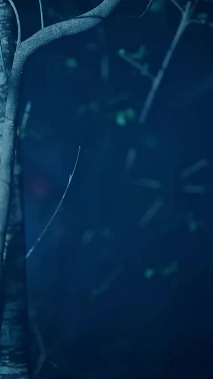 その雨が止む頃 - Episode 11