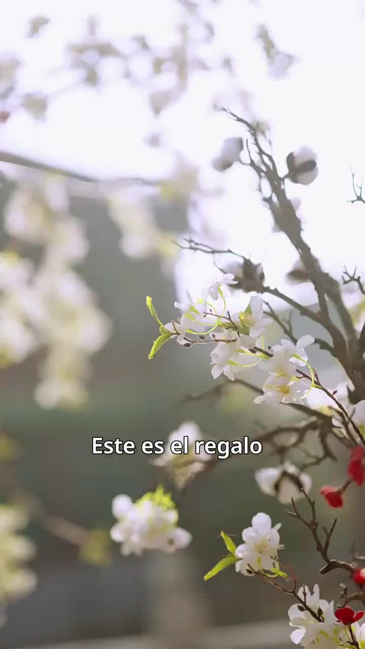 Encuentro con la Estrella - Episode 11