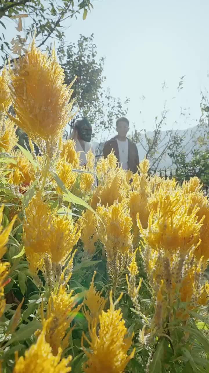 神龍出淵 - Episode 66