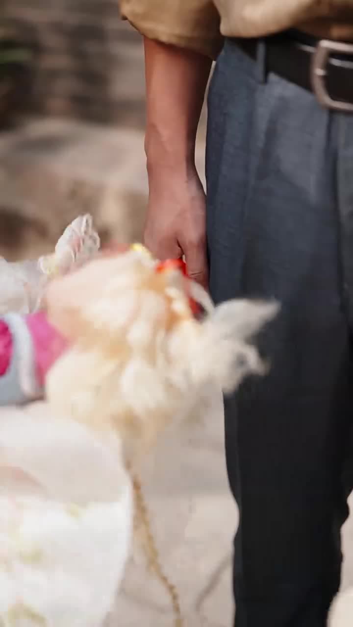 棄你登頂,我的榮耀你高攀不起 - Episode 8